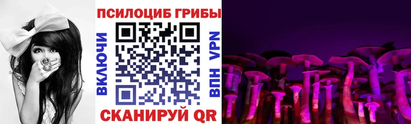 ссылка на мегу ONION  Берёзовский  Псилоцибиновые грибы Psilocybe  хочу наркоту 